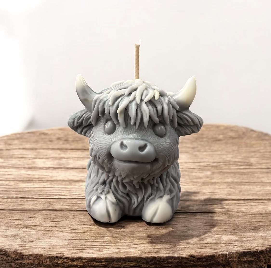 Highland Cow
