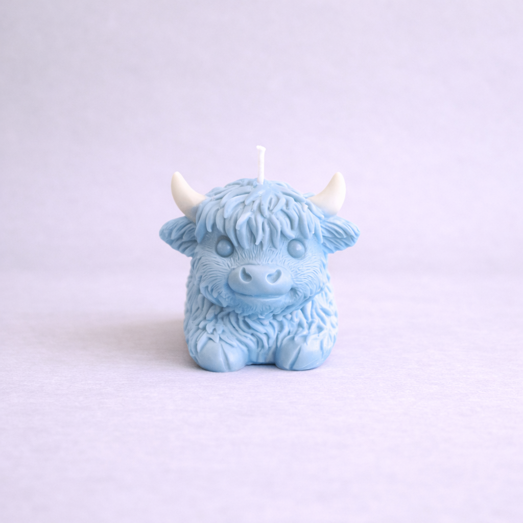 Highland Cow