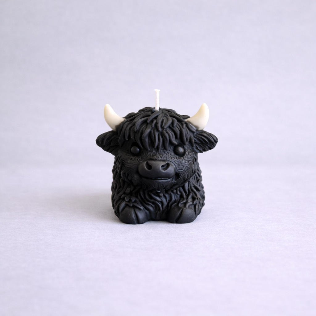 Highland Cow