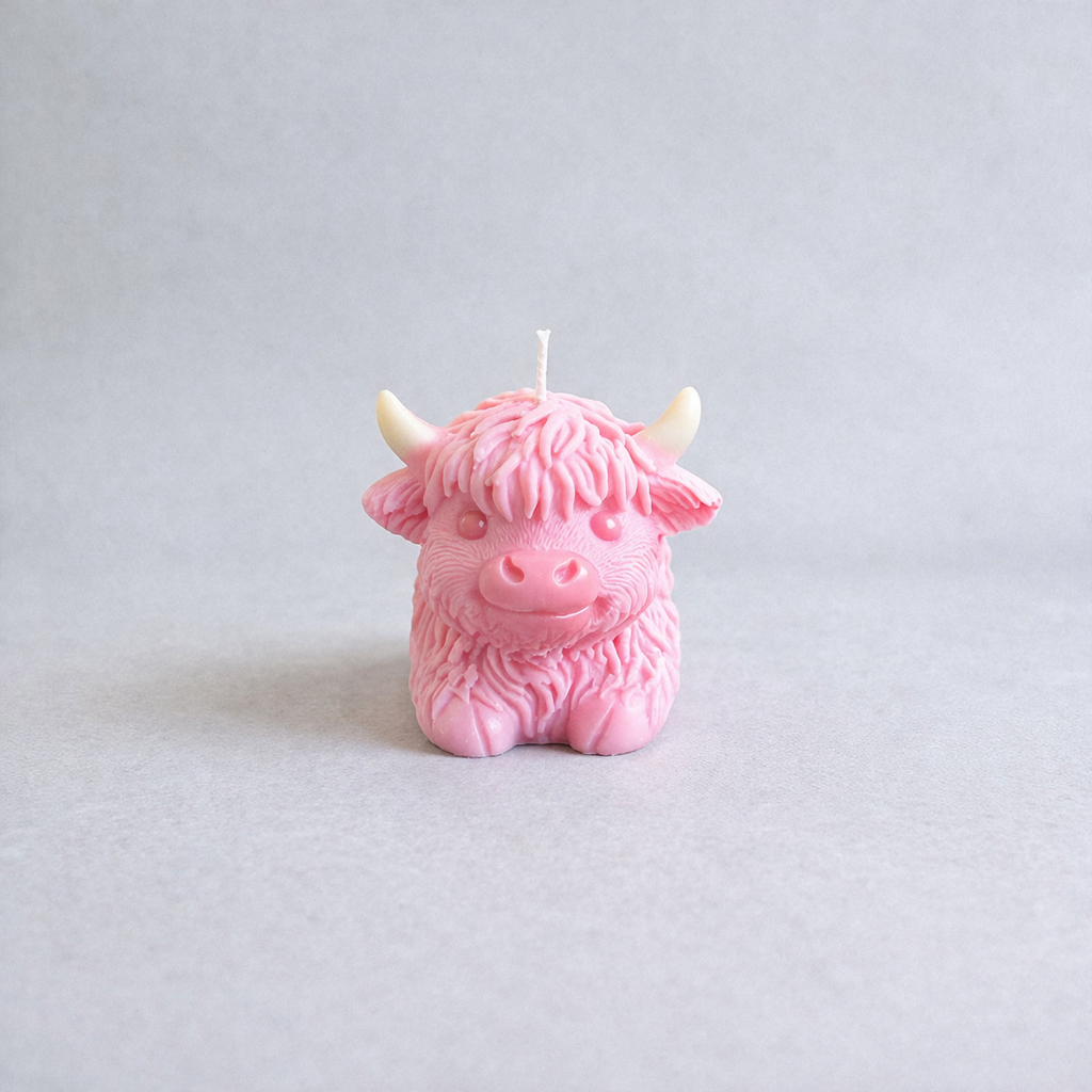 Highland Cow